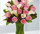 FR026